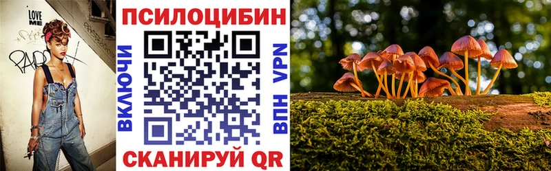 Галлюциногенные грибы мицелий  Юрьевец 