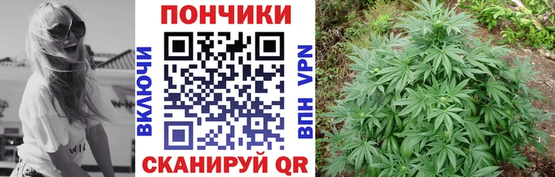 Канабис White Widow  где найти наркотики  Юрьевец 